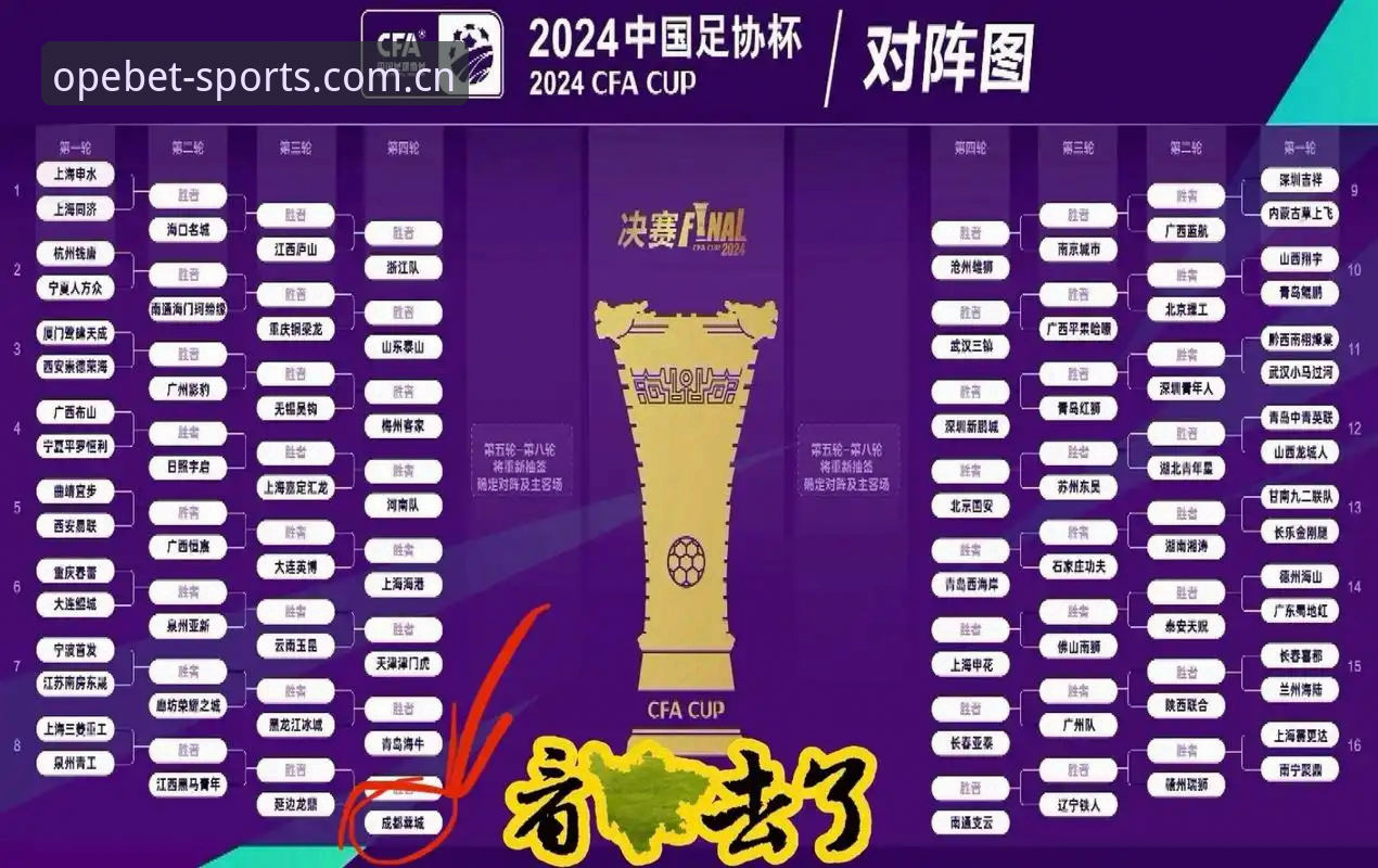 OB体育官网注册怎么下载 中国足协第三批禁足名单出炉:一场足球生态的深度评测与反思